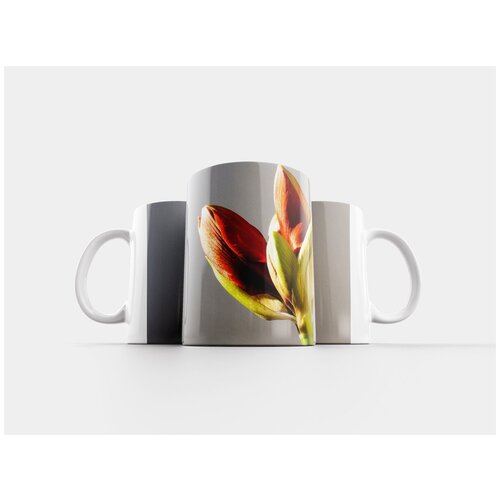 фото Кружка "амариллис, красный, бутон" 320 мл lotsprints