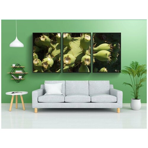 фото Набор модулных постеров для интерьера "кактус, завод, государственные груши" 60x90 см. в тубусе, без рамки lotsprints