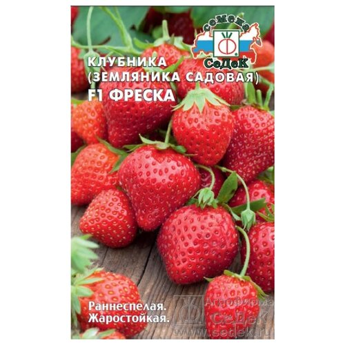 Семена Клубники (земляники садовой) Фреска F1 (15 семян) семена клубники земляники садовой сдадкоежка f1 15 семян