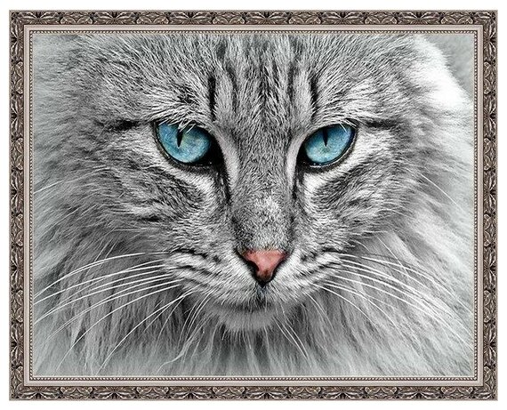 Алмазная мозаика Пушистый кот PaintBoy 40x50 см.