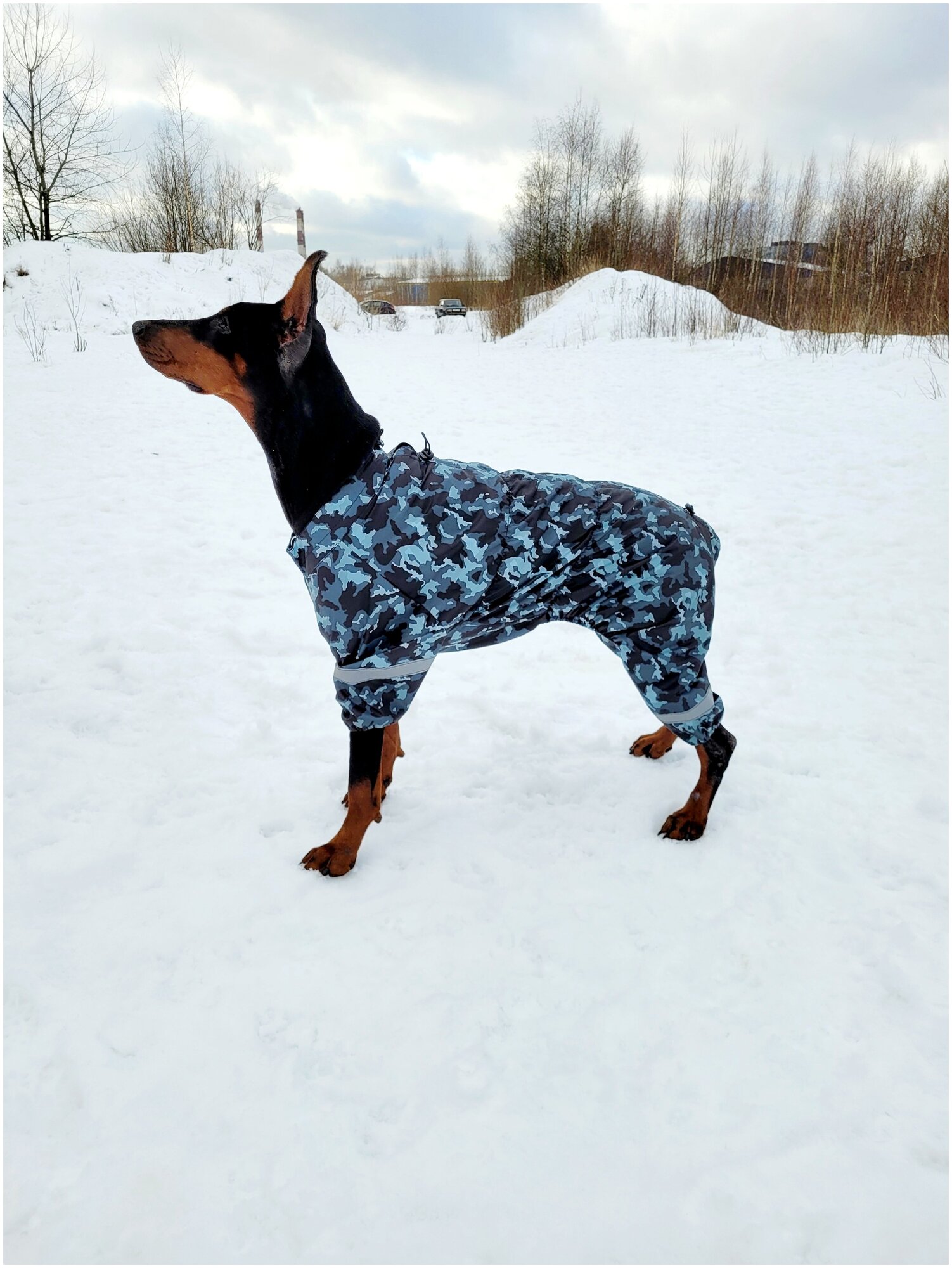 фото Влагозащитный комбинезон для крупных собак / дождевик с регулировкой размера 60-70см