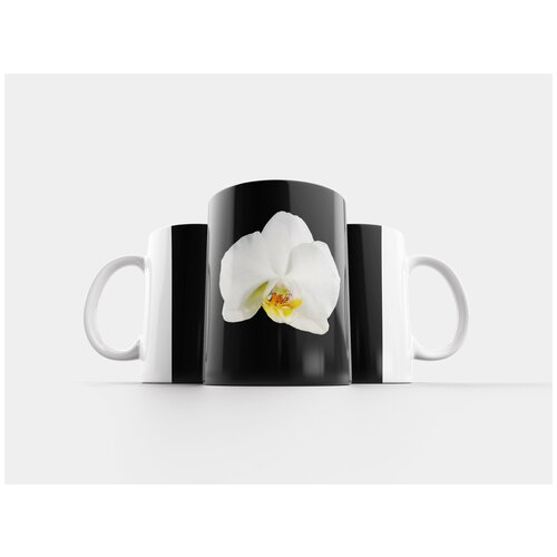 фото Кружка "орхидея, цветок, цвести" 320 мл lotsprints