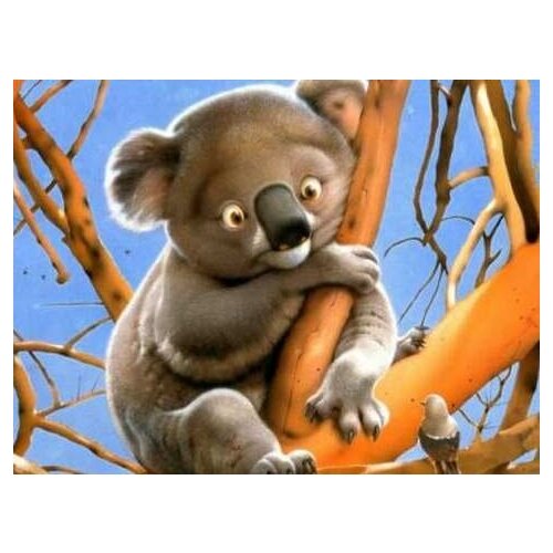 фото Алмазная мозаика коала 40x30 см. милато
