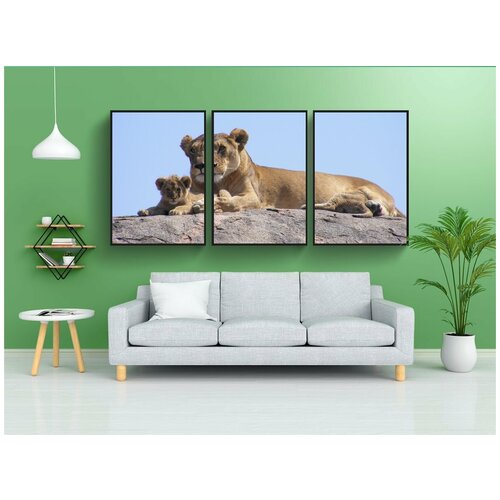фото Набор модулных постеров для интерьера "лев, детеныш, сафари" 60x90 см. в тубусе, без рамки lotsprints
