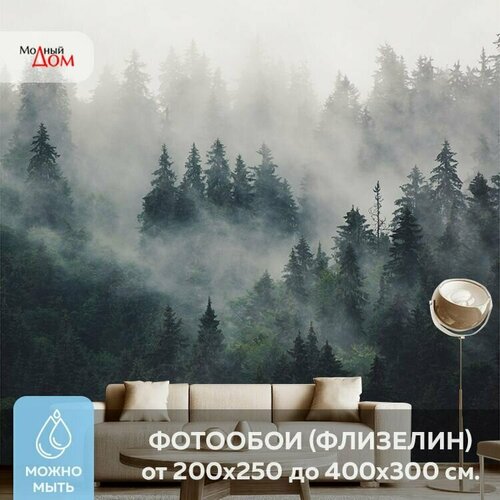 Фотообои на стену Модный Дом Лес в Тумане 300x280 см (ШxВ)