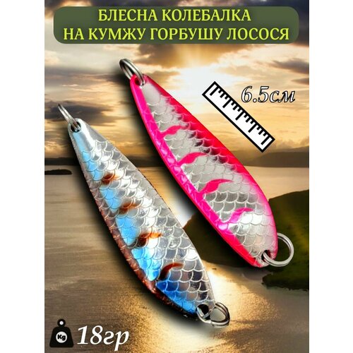 Блесна Buch Special 18гр 2шт колеблющиеся на щуку, окуня, судака, горбушу, кумжа, семгу, лосося / Набор из 2 блесен колебалок на хищную рыбу