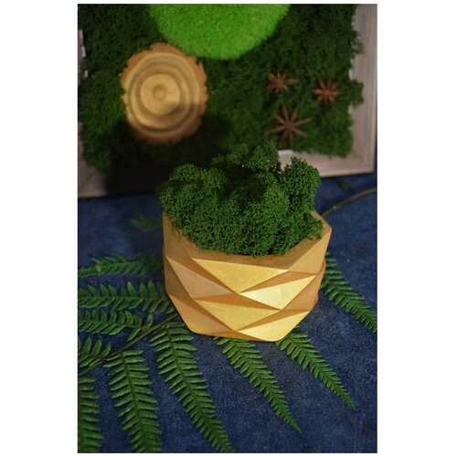 золотистый