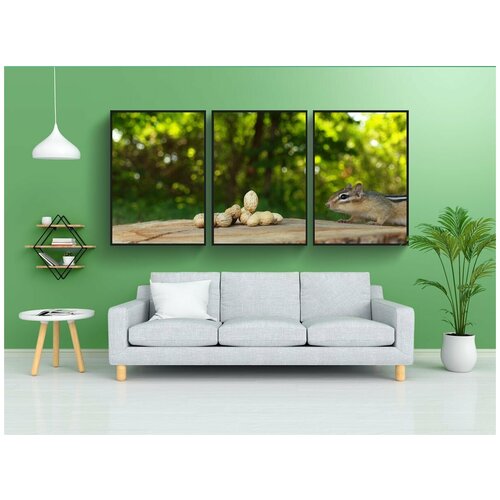 фото Набор модулных постеров для интерьера "бурундук, животное, тварь" 60x90 см. в тубусе, без рамки lotsprints