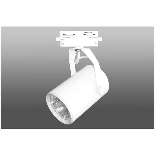 ShopLEDs Трековый светодиодный светильник DT-125 (10W, 4100K, однофазный, белый корпус)