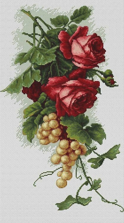 Красные розы с виноградом B2229