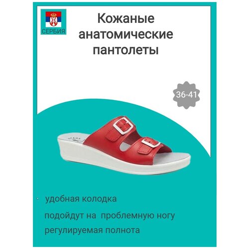 Сабо женские из натуральной кожи, ортопедические Fratelli Babb D-01 красные, размер 39