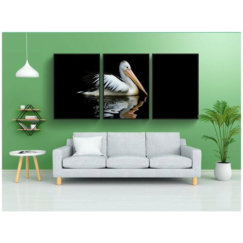 фото Набор модулных постеров для интерьера "австралия, пеликан, морские птицы" 60x90 см. в тубусе, без рамки lotsprints