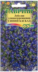 Семена цветов Лобелия ампельная "Синий каскад", 0,01 г