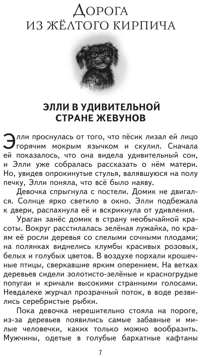 Волшебник Изумрудного города (ил. В. Канивца) - фото №13
