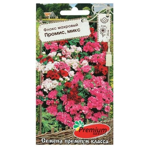 Семена цветов Флокс махровый 