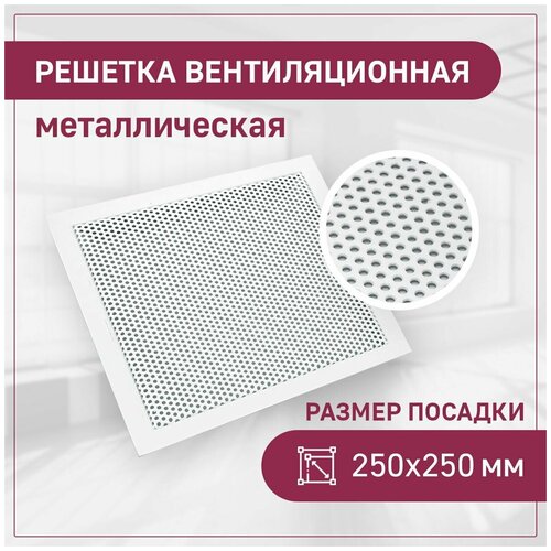 Решетка вентиляционная ExDe, посадка 250х250, перфорированная, круг, белый