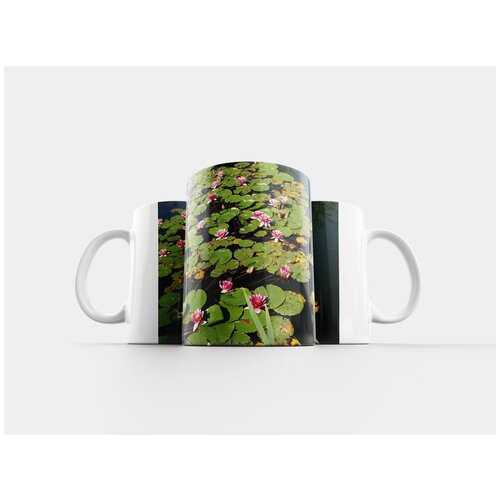 фото Кружка "водяные лилии, пруд, водное растение" 320 мл lotsprints