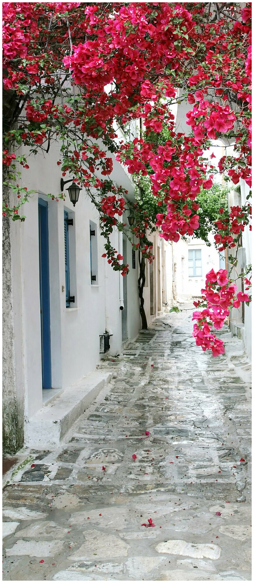 фото Самоклеящиеся фотообои Doorfix, D021, 95х220см