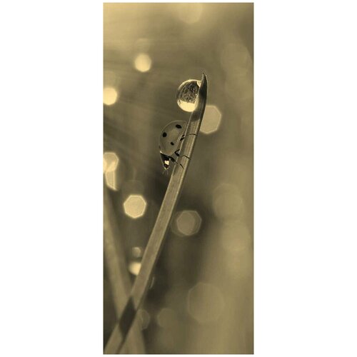 Самоклеящиеся фотообои 