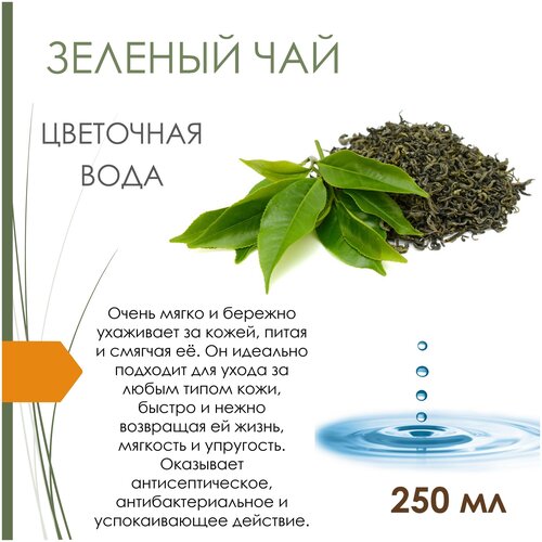 Гидролат зеленого чая, 250 мл