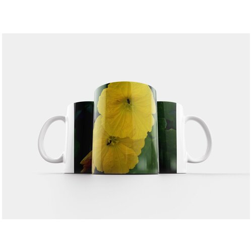 фото Кружка "ридж тыква цветы, две желтые цветы, медоносных пчел" 320 мл lotsprints