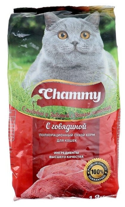 Полнорационный сухой корм Chammy для кошек с говядиной,1.9кг - фотография № 2