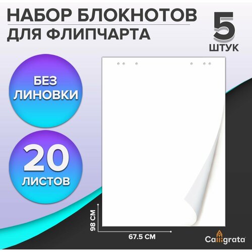 Набор блокнотов 5 штук для флипчарта, 67,5 х 98 см, 20 листов белый, 92%, 80 г/м2,