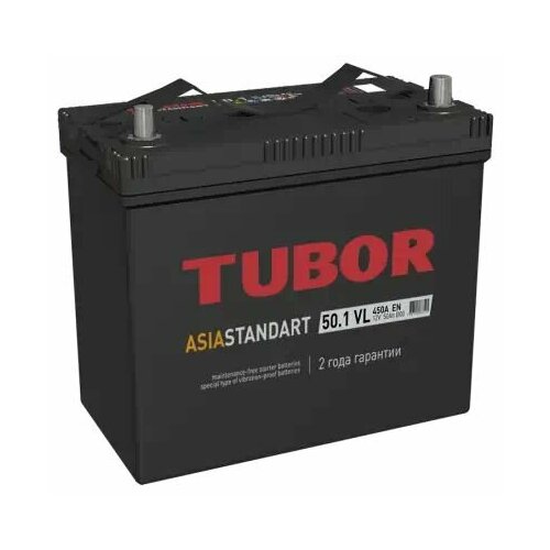 Аккумулятор Asia 50 А/ч п. п. Tubor ток 430 236x128x221