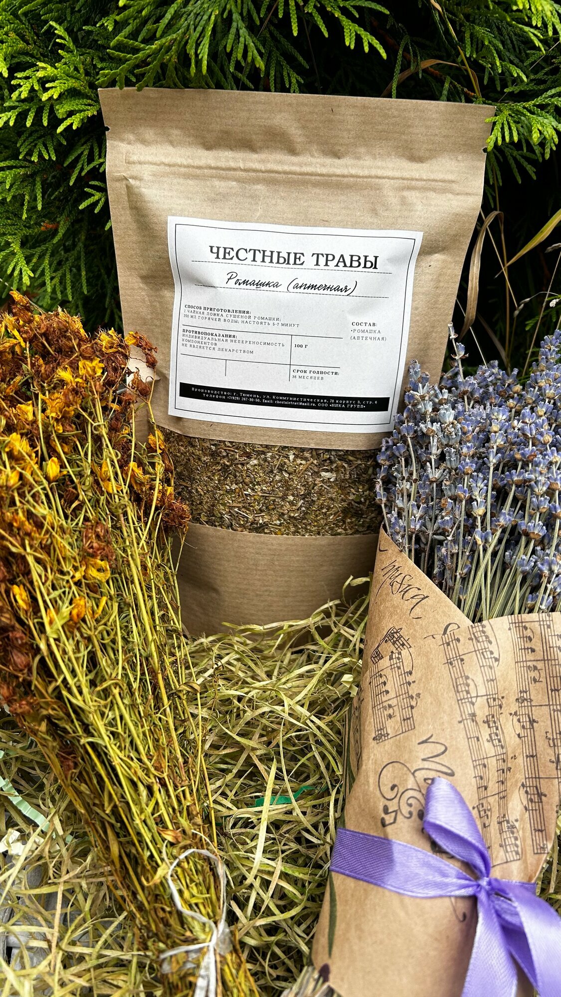 Ромашка аптечная