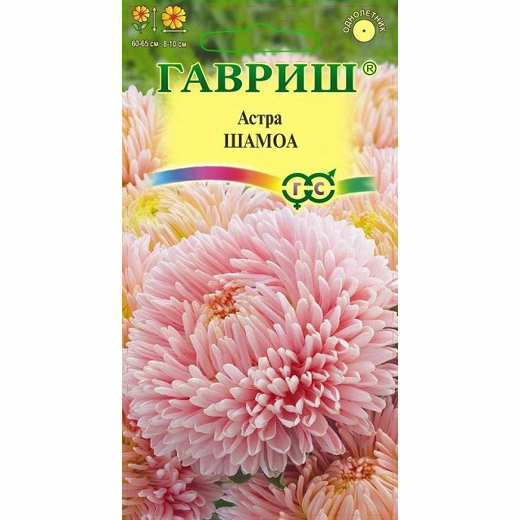 Семена Астра Шамоа кремовая пионовидное однолетник Гавриш 1 пачка - 0.3г семян