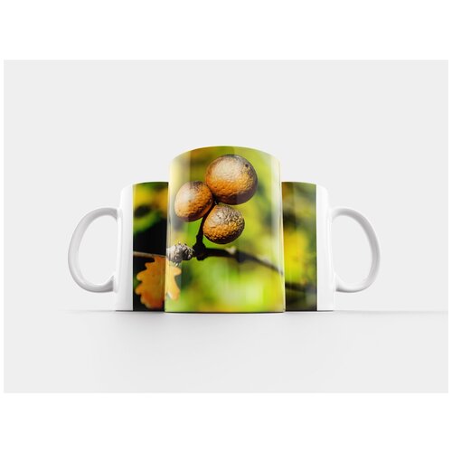 фото Кружка "желчь, дубовый галл, круглый" 320 мл lotsprints