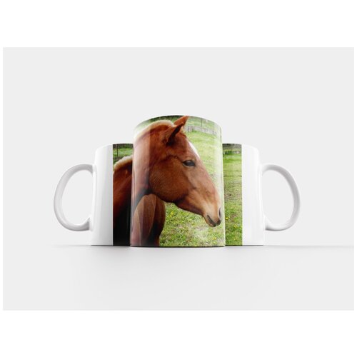 фото Кружка "большая ящерица, рептилии, ящерица" 320 мл lotsprints