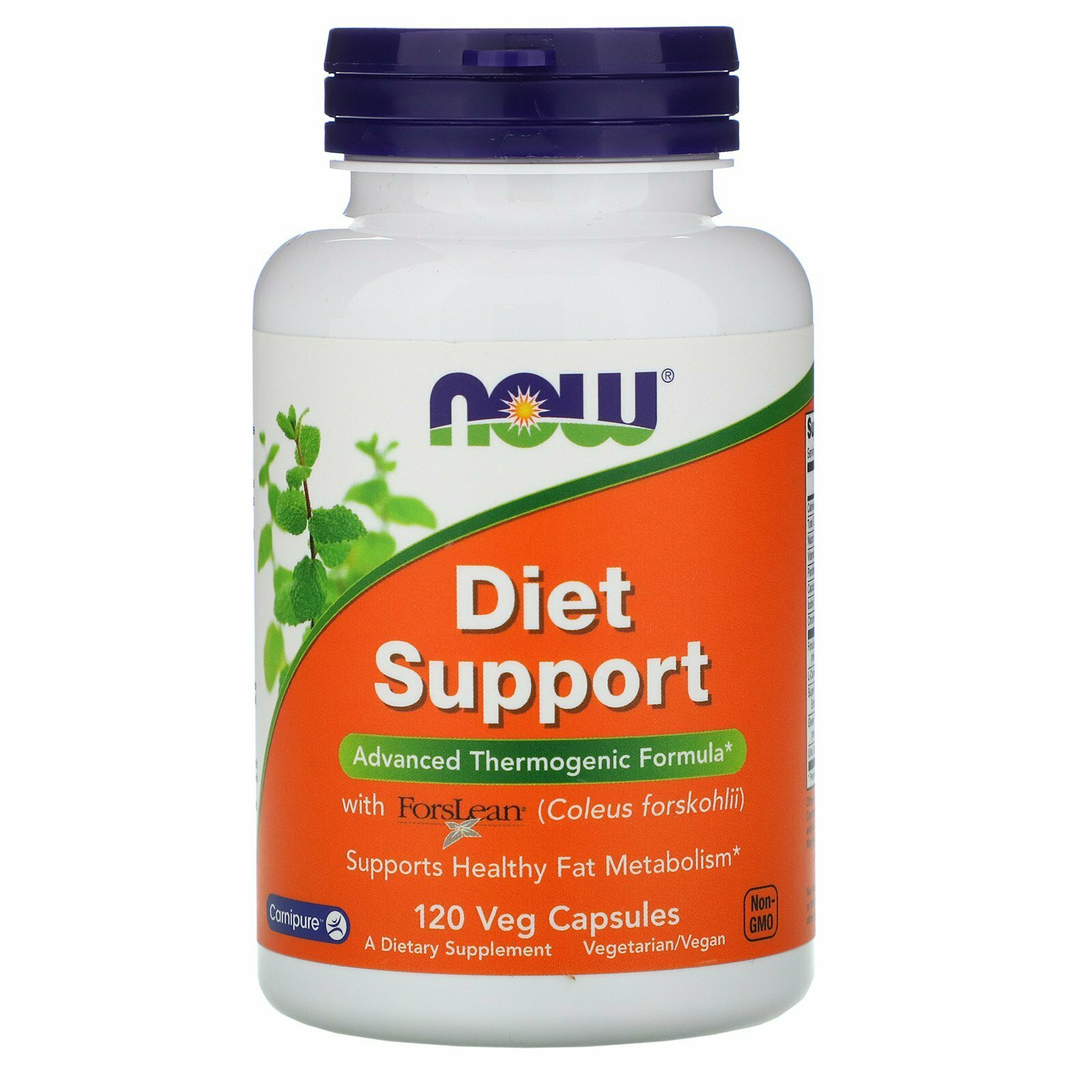 Diet Support капс., 120 шт., 1 уп.