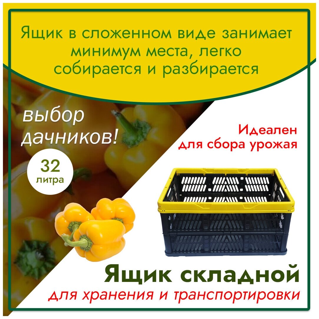 Ящик складной пластиковый для хранения овощей фруктов рассады объем 32л (480*350*235мм)
