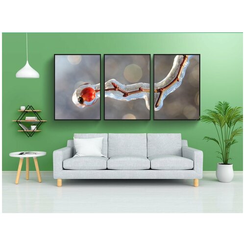 фото Набор модулных постеров для интерьера "шиповник, ice, зима" 60x90 см. в тубусе, без рамки lotsprints