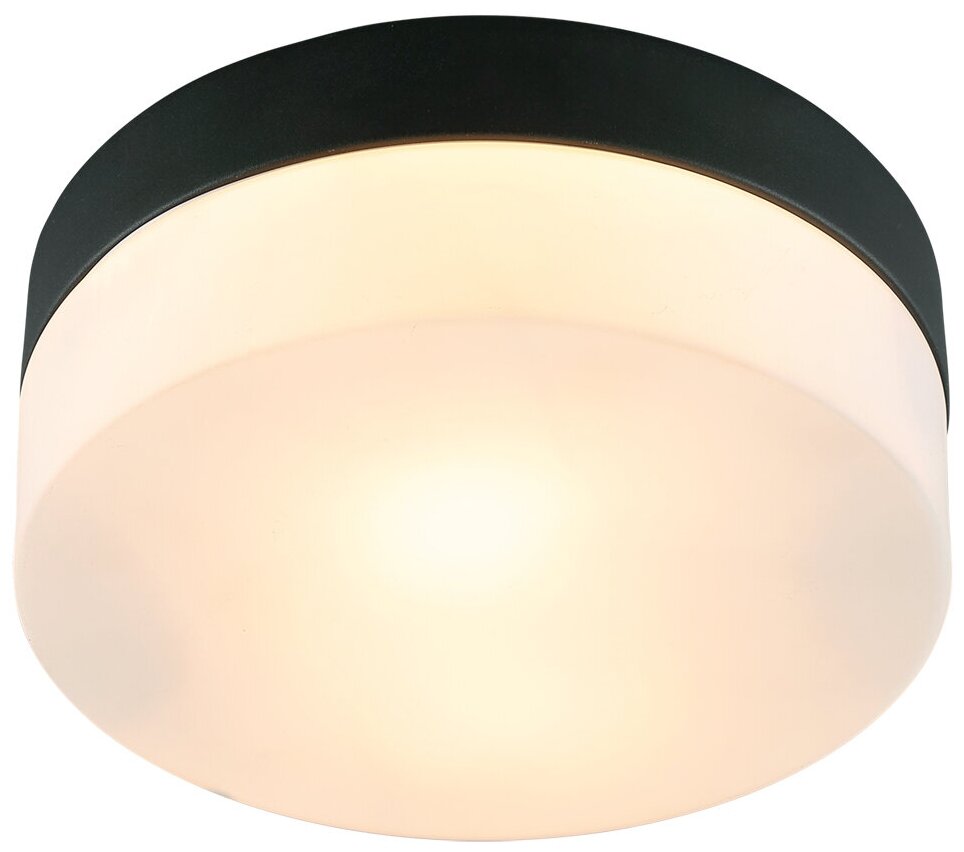 Потолочный светильник Arte Lamp Aqua-Tablet A6047PL-1BK