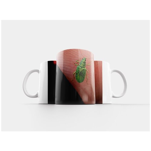фото Кружка "зеленый долгоносик, филлобиус, жук" 320 мл lotsprints