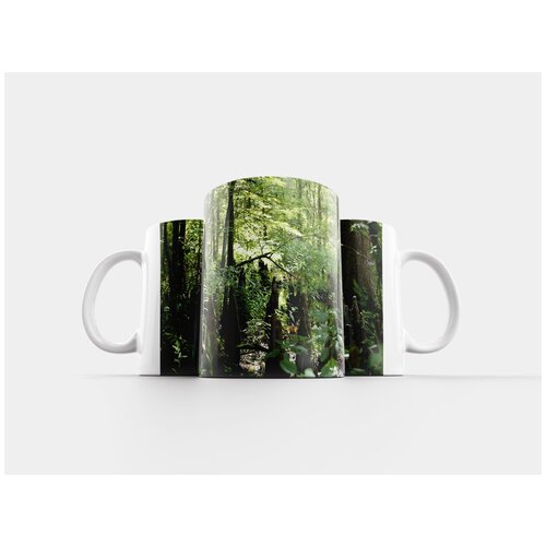 фото Кружка "болото, природа, на открытом воздухе" 320 мл lotsprints