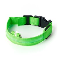 Ошейник светодиодный светящийся для собак, usb зарядка в комплекте, цвет: зеленый, S