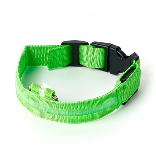 Ошейник светящийся светодиодный для собак, usb зарядка в комплекте, цвет: зеленый, XL