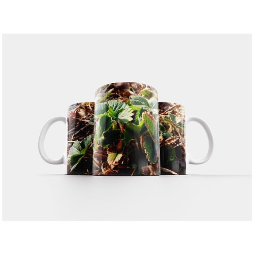 фото Кружка "клубника, овощи, еда" 320 мл lotsprints