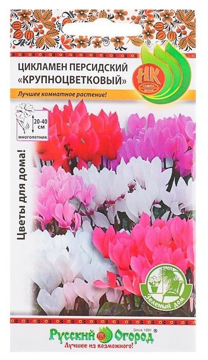 Семена комнатных цветов Цикламен персидский Крупноцветковый Зеленый дом Мн 5 шт Русский огород