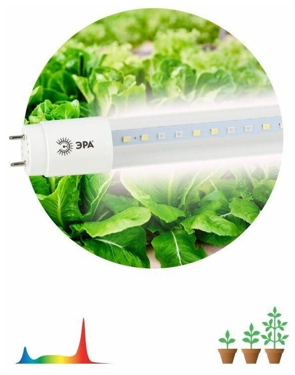 Лампа светодиодная FITO-9W-Ra90-Т8-G13-NL 9Вт T8 линейная 46LED 2835 IP20 35000ч для растений полноспектральная стекло Эра Б0042988
