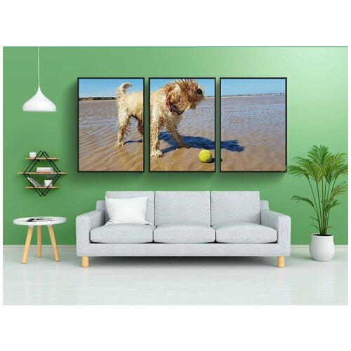 фото Набор модулных постеров для интерьера "пляж, собака, мяч" 60x90 см. в тубусе, без рамки lotsprints
