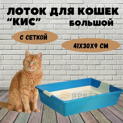Лоток для кошек Кис глубокий с сеткой, цветной, 41*30*9 см