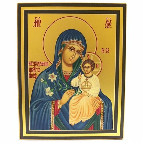 Икона Неувядаемый цвет Божией Матери рукописная, арт ИРГ-042 икона божией матери неувядаемый цвет 15 на 18 см рукописная арт ирг 557