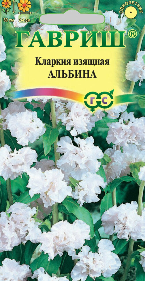 Гавриш Кларкия Альбина по 005 г