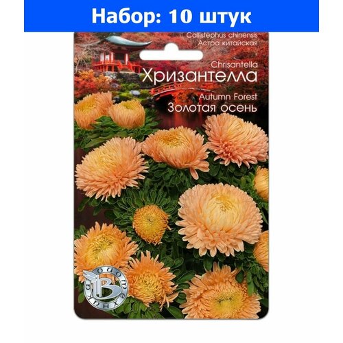 Астра Хризантелла Золотая осень хризантемовидная 30шт Одн 80см (Биотехника) - 10 пачек семян