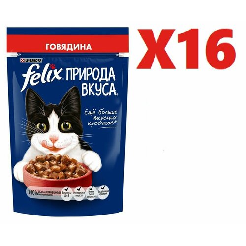 Влажный корм Felix Природа вкуса с говядиной в 75г 16 шт