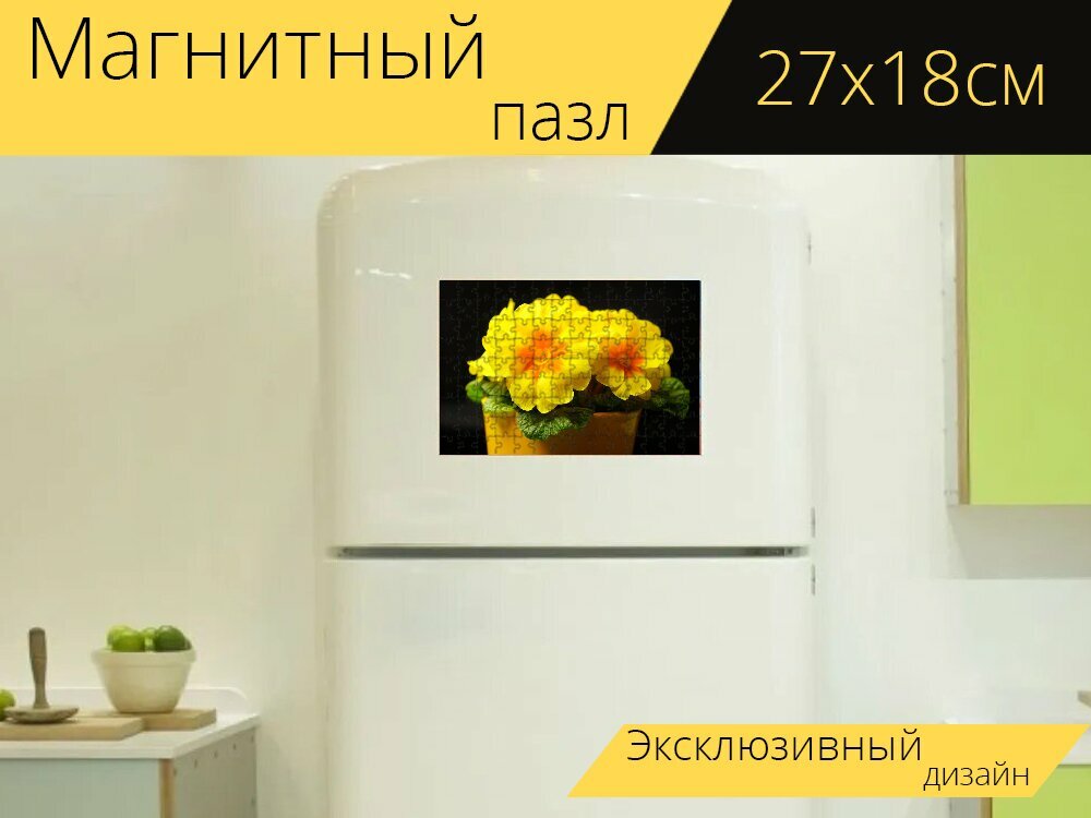 Магнитный пазл "Первоцвет, примула, цвести" на холодильник 27 x 18 см.